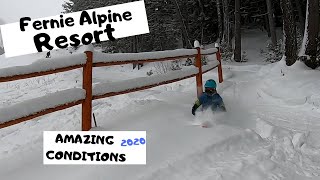 Fernie Alpine Resort Amazing Conditions!