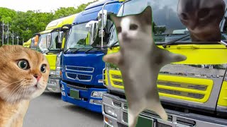 （猫ミーム）自分がやってた大型トラック運転手の一日　#猫マニ #猫ミーム #新人vtuber