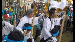 熊野神社　小宮祭　二之御柱里引き