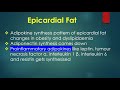 brown vs white adipose tissue roles of pericardial fat