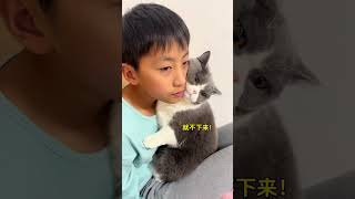 #萌宠出道计划 #记录猫咪日常 #这小猫谁养谁不迷糊啊 #我和我的猫