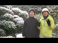 自然風の庭 2月 珍しく雪が積もった日