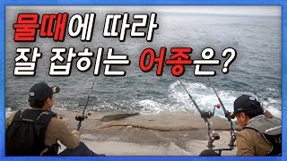 프로낚시꾼이 알려주는 낚시대회/물때/봄여름 어종 [어영차바다야]