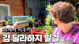 EP.32 잔소리 하는 엄마를 달래는 방법