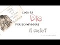 Dio e il dolore innocente #rispostalvolo a un medico