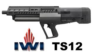 The new IWI Tavor TS12 12-gauge shotgun