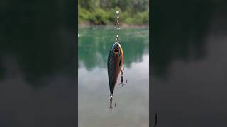 Strike Pro Fishing Lure 🎣 #fishing #lurefishing #lure #lures #crazy #amazing #fishingvideo #shorts