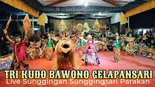 TKB PANCEN OYE 🔥🔥🔥 TRI KUDO BAWONO GELAPANSARI Live Sunggingan Sunggingsari Parakan Temanggung