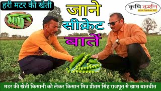 हरी मटर की खेती🌱🌱Pea farming🌱संपूर्ण जानकारी🌿Matar ki kheti🌿Pea cultivation🌿🌿मटर की खेती कैसे करें