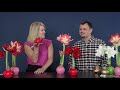 Bloomaker | Here We Grow Again | What Is A Waxed Amaryllis?