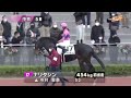 2022 12 18【パドック返し馬つき】中京５r　メイクデビュー中京　　☆プウスカンドゥール　シャンハイボビー　　＃レースは11分ころから