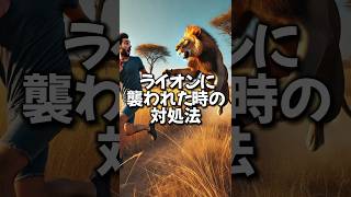 ライオンに襲われた時の対処法 #動物 #雑学