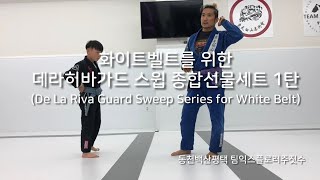 화이트벨트를 위한 데라히바가드 스윕 종합선물세트 1탄 [동천백산평택 팀익스플로러 주짓수]