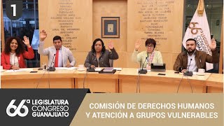 Comisión de Derechos Humanos y Atención a Grupos Vulnerables  07/02/25