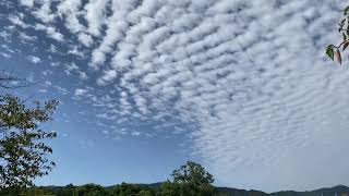 うろこ雲・八条ヶ池