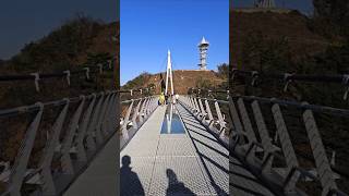 Korea's Hantan River Milky Way Bridge #nature #koreanature #koreatravel #beautiful