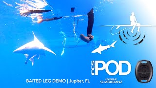 FCS x Sharkbanz POD - Shark Testing Demo - Watch Sharks' Reactions