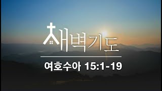 [포항큰숲교회] 25.1.23 새벽기도회