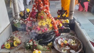 maha shivaratri Abhishekam మహా శివరాత్రి అభిషేకం