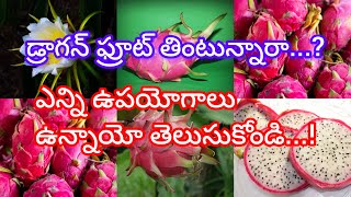 health tips in telugu | dragon fruit health tips in telugu