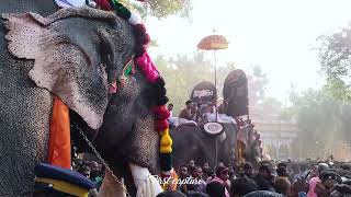 ഭീമന്റെ എൻട്രി | Puthupally Keshavan Cheeramkulam | Pooram 2023