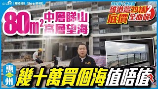 碧桂園十里銀灘【底價全面睇 | 維港灣29棟 | PART2】80平中層睇山高層望海 | 幾十萬買個海值唔值?【寰宇筍盤 | 上市公司附屬機構】十里銀灘 惠東 大灣區物業 投資大灣區 粵港澳大灣區