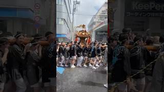 2023 富岡八幡宮「水かけ祭り」6年ぶり 深川八幡祭り 富岡八幡宮例大祭 神輿連合渡御 Fukagawa Hachiman  (Water Throwing Festival) #shorts