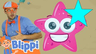 Learn Shapes Song | BLIPPI | Educational Songs For Kids