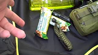 A scout 10 (11) basic essentials