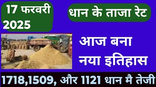 धान के भाव, 17 फरबरी 2025 || dhan ke bhav | 1121 dhan ke bhav | basmati dhan mandi bhav