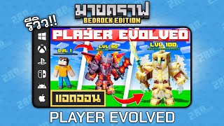 รีวิวแอดออน Player Evolved \