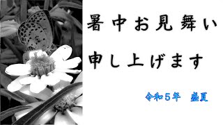 【号外】暑中お見舞い申し上げます。令和５年　盛夏