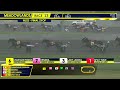 August 3, 2024 - NJSS 2 Year Old Filly Trot - Race 13