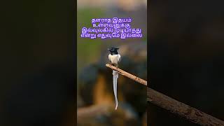 உனக்கான பாதையை நீயே தேர்ந்தெடு - Daily Quotes - Tamil