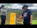 tamang transplanting ng agarwood seedlings sa plantation nursery management