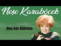 neşe karaböcek hoş gör aldırma