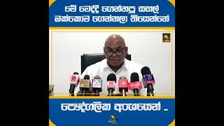 මේ වෙද්දි ගෙන්නපු සහල් ඔක්කොම ගෙන්නලා තියෙන්නේපෞද්ගලික අංශයෙන් ..