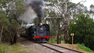 Steam Ranger 621 Galloping up a 1 in 45 grade