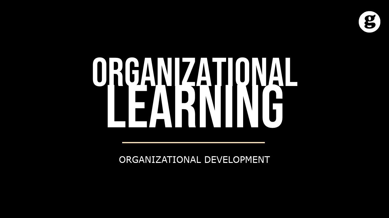 Organizational Learning Youtube