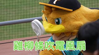 TAKAO雞柳條吹電風扇 Wing Stars 台鋼雄鷹 中華職棒 中職