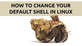 How to change your current or default shells in Linux.