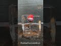 RHCB vs ice 🧊(With a drain) #satisfying #experiment #RHCB #asmr