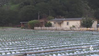 'This is a lifesaver': Rain assists local farmers as regional drought continues