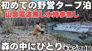 獣の気配…森の中でひとり野営タープ泊　#野営 #野営キャンプ #野営タープ泊 #野営初心者 #キャンプ #ソロキャンプ #無骨キャンプ #焚火 #タープ #DDタープ #徒歩キャンプ #バックパック