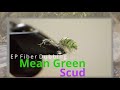 EP Fiber Mean Green Scud - Fly Tying Instructional Video | Urban Angler