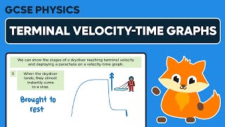 Terminal Velocity-Time Graphs - GCSE Physics