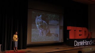 What a stray cat taught me about human relationships | Emma Flaherty | TEDxDanielHandHS