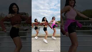 Mere Naseeb Mein | #TeamVleenam | | #Shorts | #TikTok | #Reels | #Reel | #Twins | #Twin | #Dance |