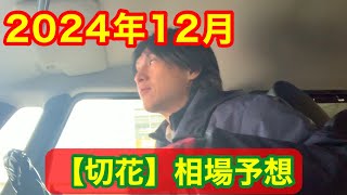 【切花】12月の相場予想