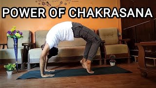 Chakrasana and its scientific benefits- 5 am yoga club